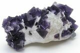 Purple Octahedral Fluorite Crystals on Quartz - China #223311-1